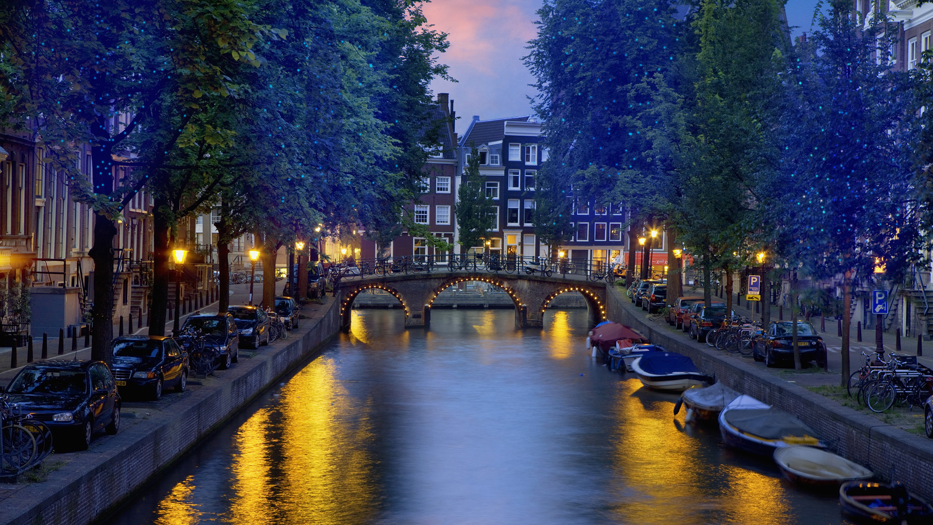 4 reasons for expats to come and live in Amsterdam